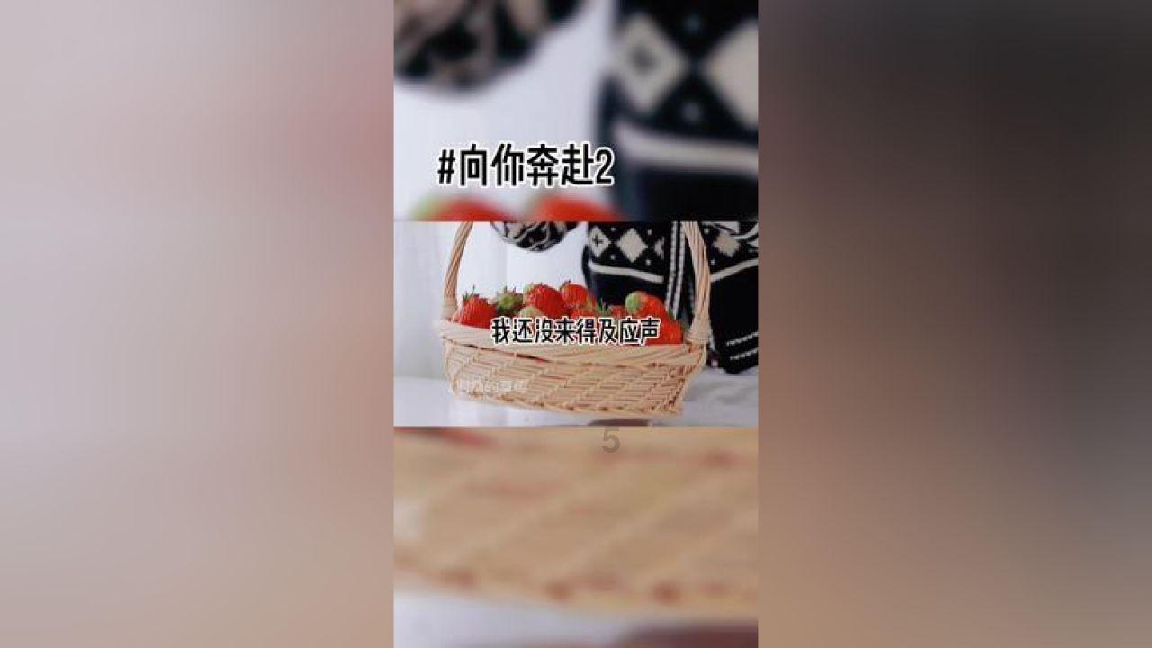 竞技宝登录